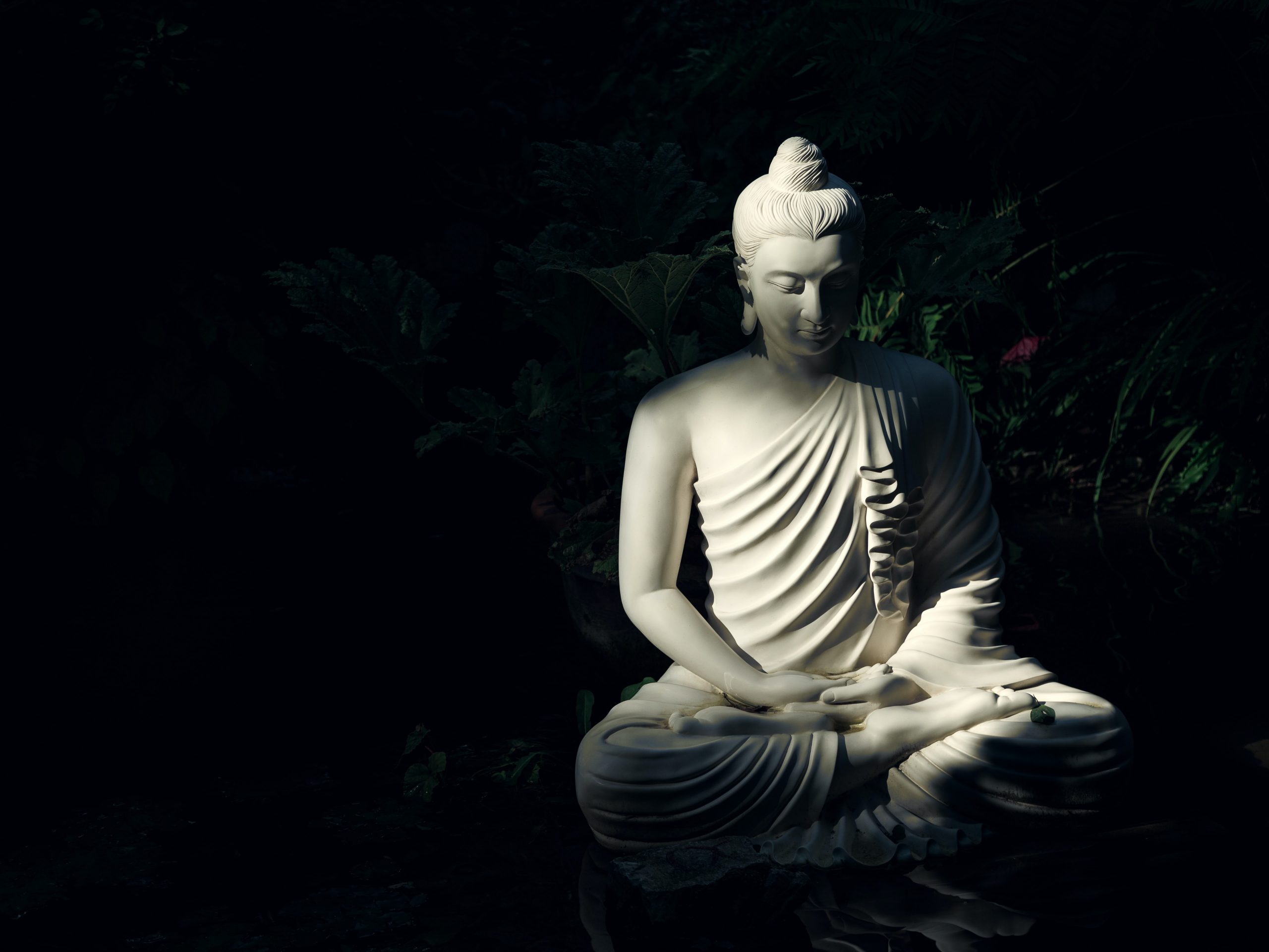 white statue of buddha